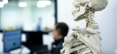 person working on computer with skeletal 